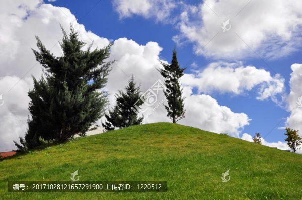 風(fēng)景