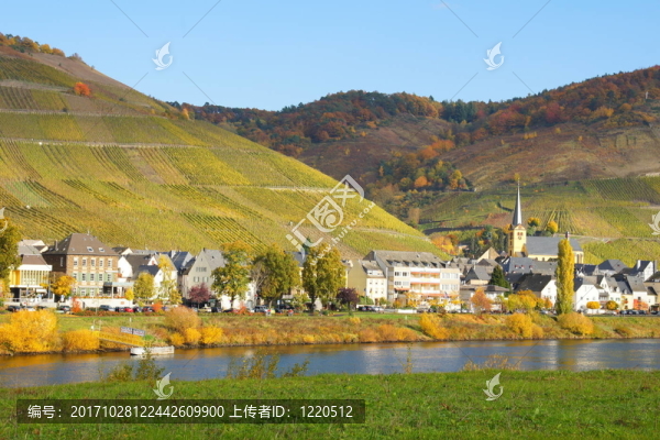 酒