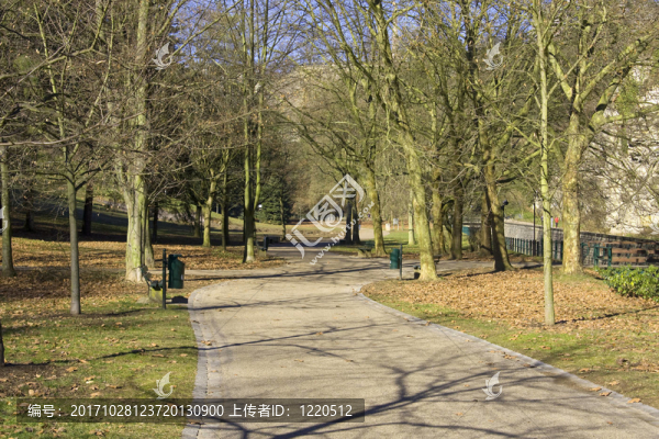 公園2