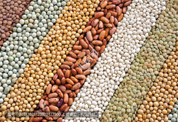 soy