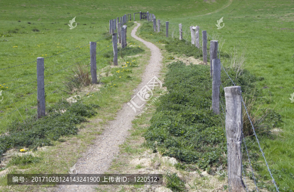 wiesenweg