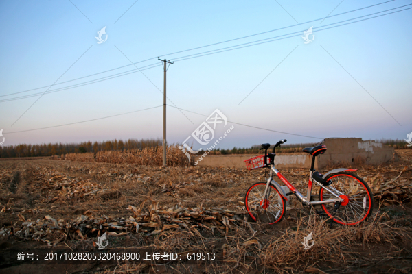 田野上的共享單車