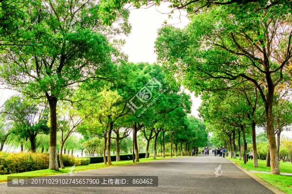 綠道,步道