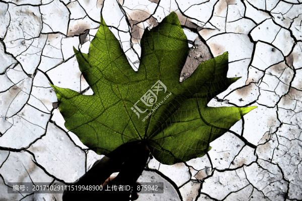 干渴的土地