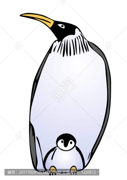 鳥(niǎo)