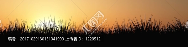 日落時(shí)分的草地全景