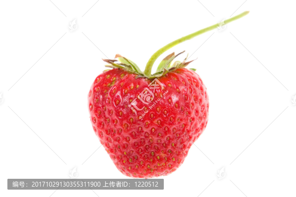 食品