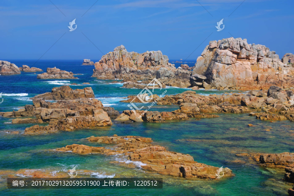 在玫瑰海岸
