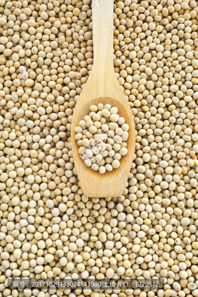 soy