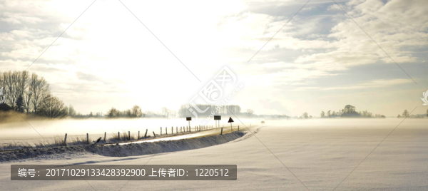 雪景