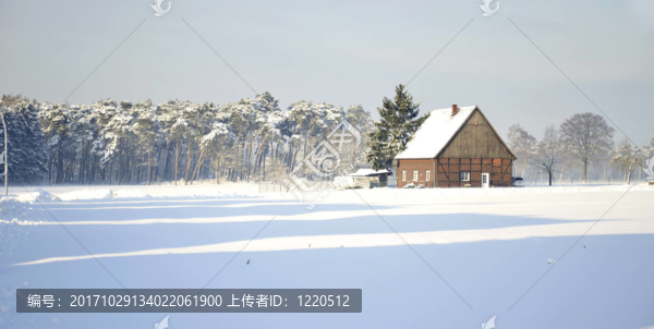 雪景