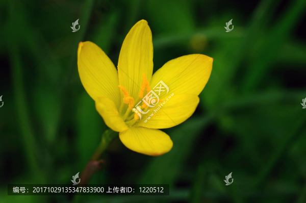 顏色