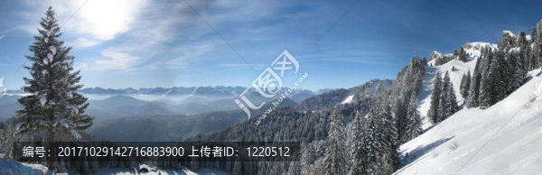 布魯耐克