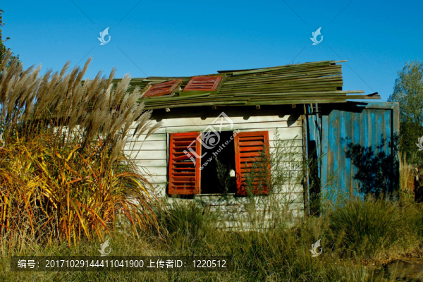 腐爛的木頭小屋