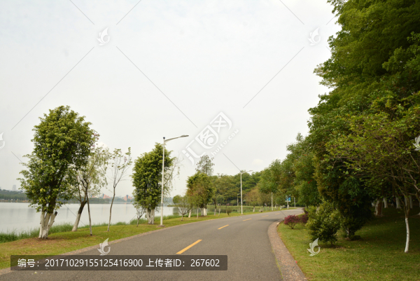 樹林