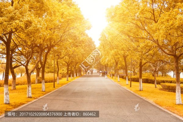 秋天步道