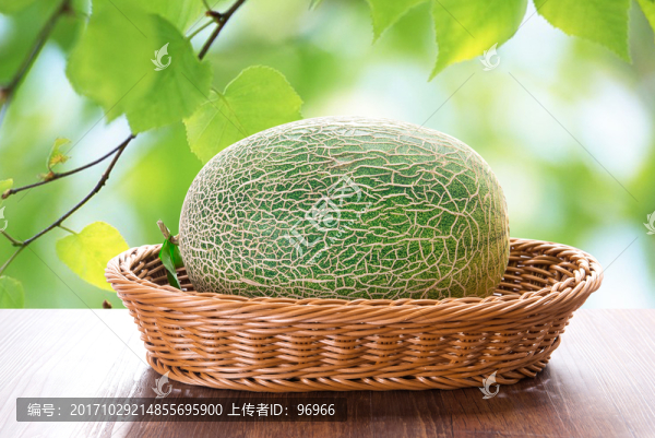 哈密瓜,新疆哈密瓜,絲路曉