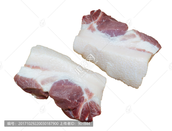 鮮豬肉