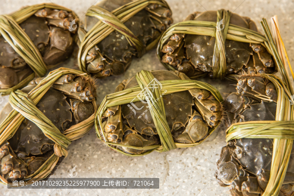 大閘蟹