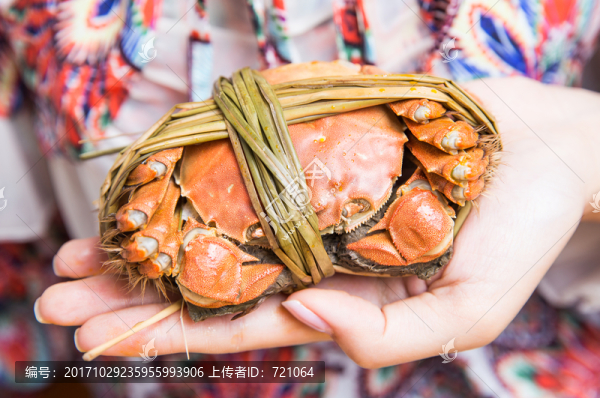 大閘蟹