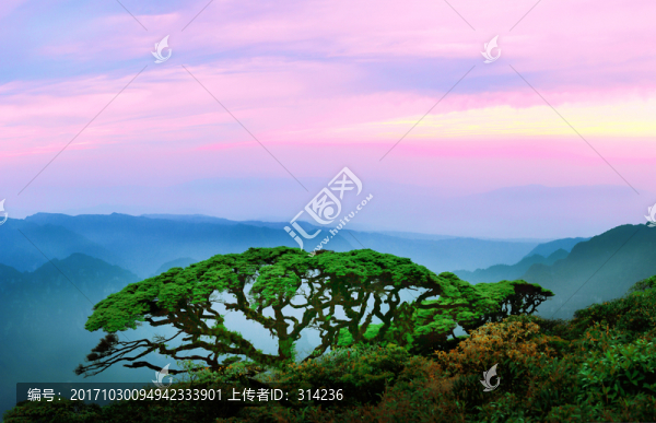 金秀圣堂山