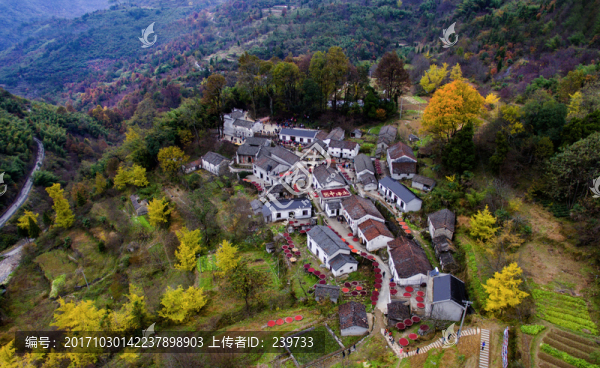 云中凈土