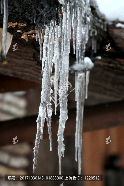 icicle,2