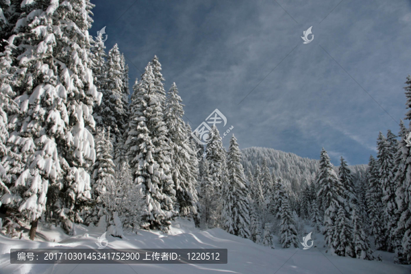 雪