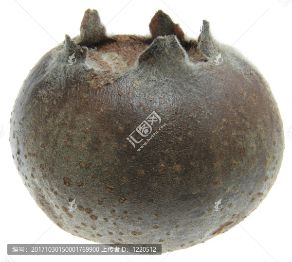 食品-匯圖網(wǎng) www.fosd68.com 食品