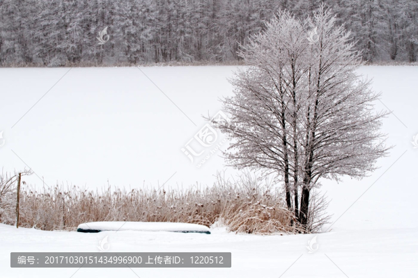 在烏克馬克冬季景觀