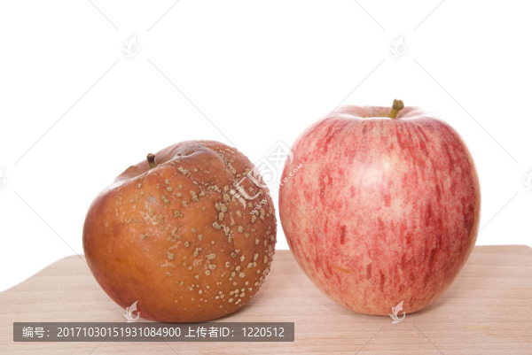 蘋果