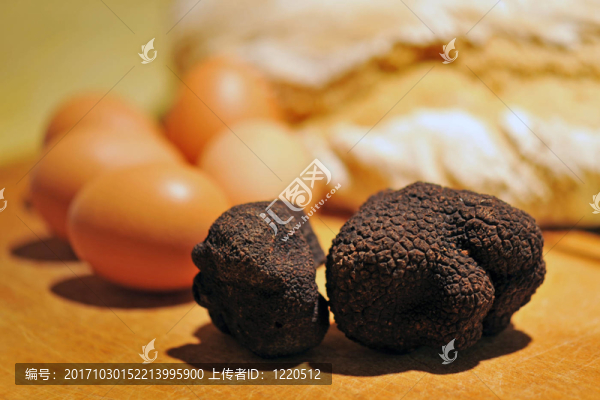 塊莖