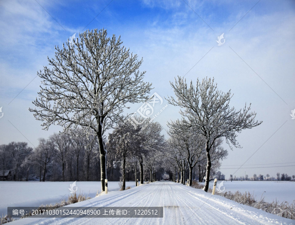 雪大道