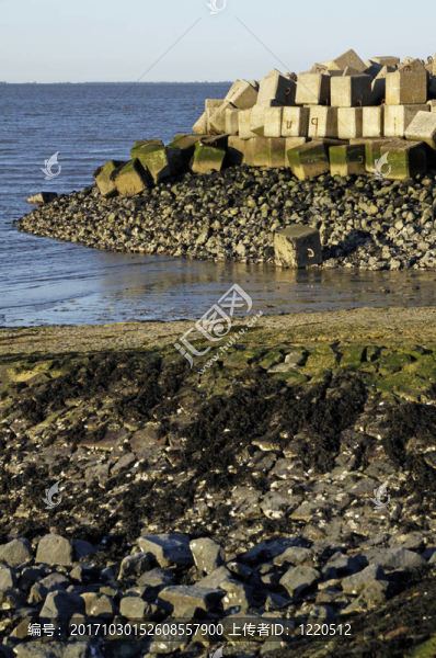 海岸