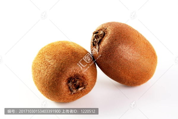 后代