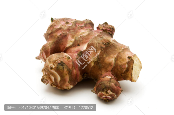 朝鮮薊