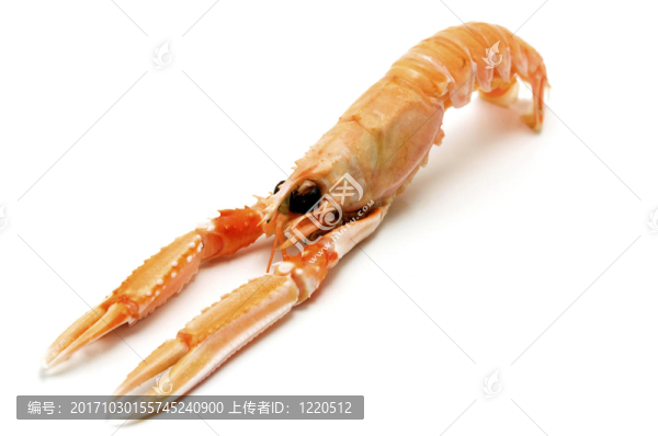 挪威