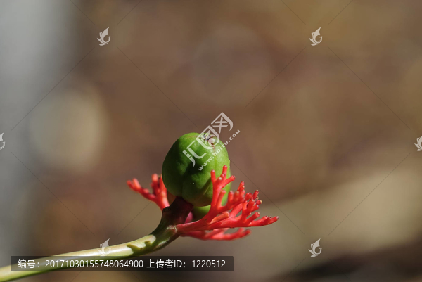 果