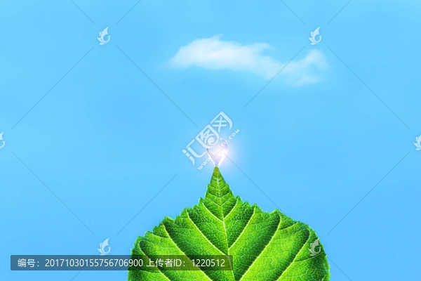 葉