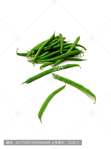 布什豆