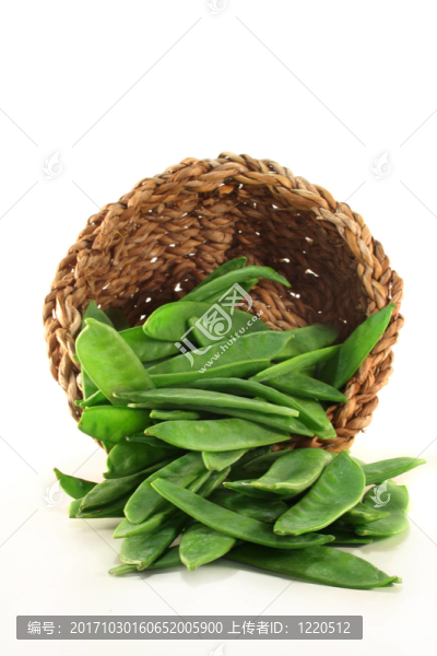 綠色的廚房