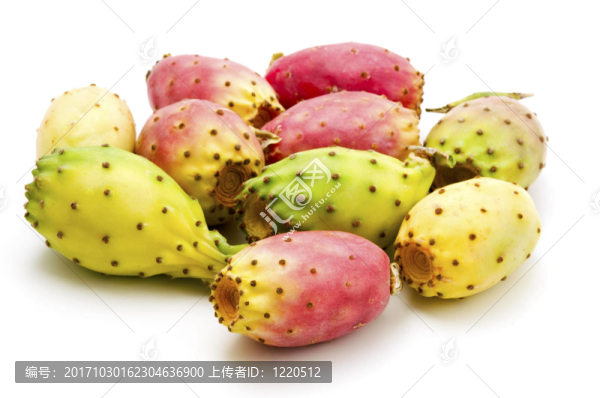 后代