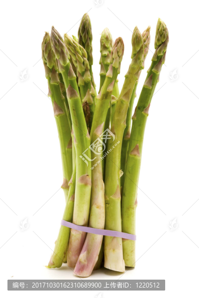 蘆筍