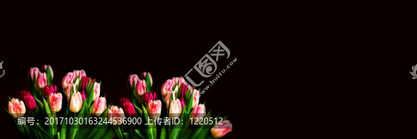 花卉
