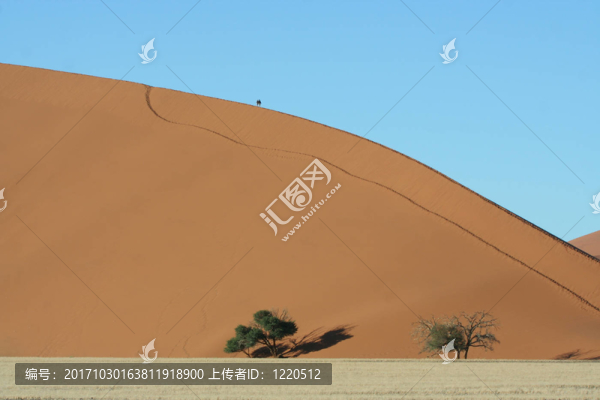 沙漠