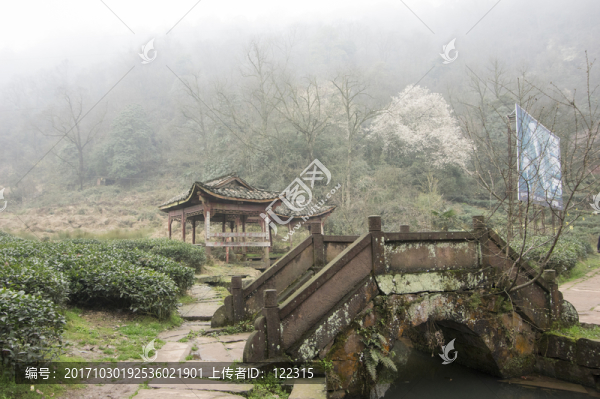 蒙頂山