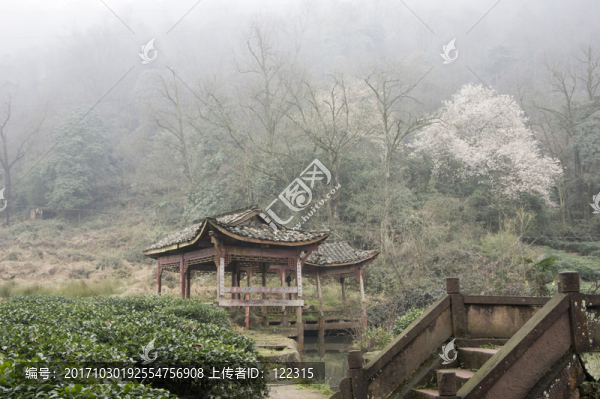 蒙頂山