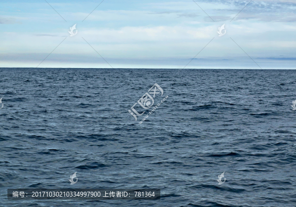 深海水域