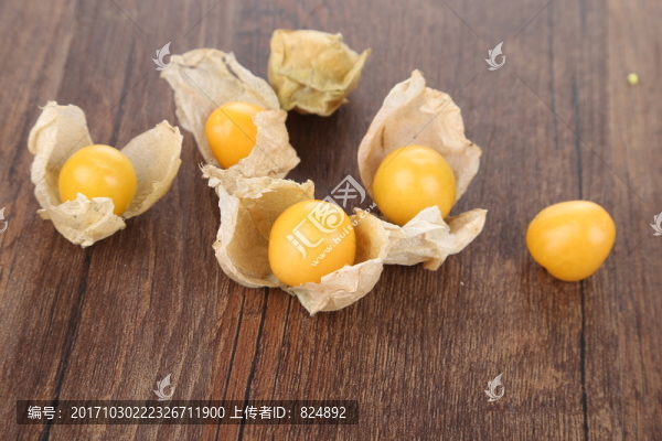 菇娘果,燈籠果