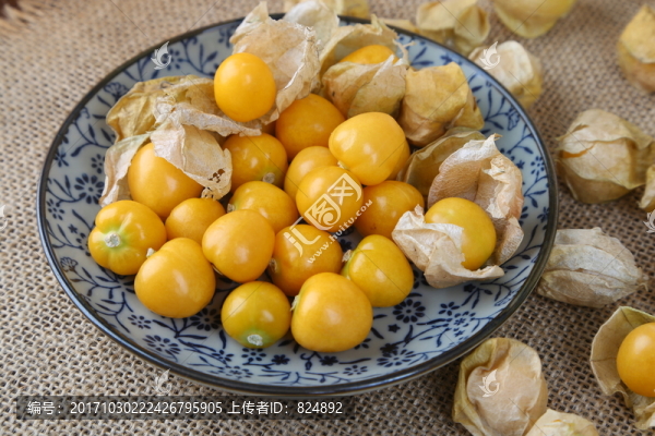 菇娘果,燈籠果